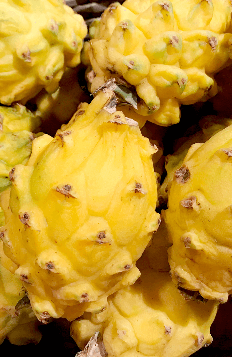 Yellow Dragon Fruit Seeds
